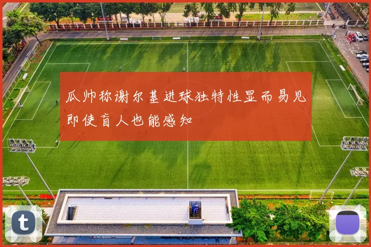 瓜帅称谢尔基进球独特性显而易见即使盲人也能感知